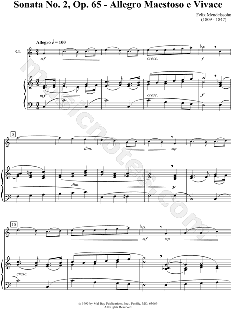 Sonata No. 2, Op. 65 - Allegro Maestoso E Vivace