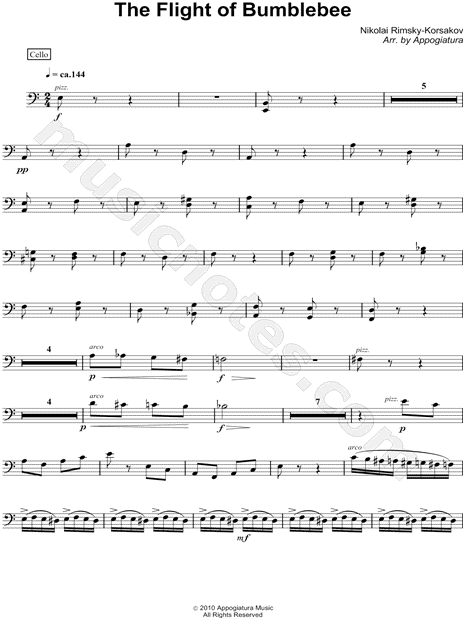 The Flight of Bumblebee - Cello