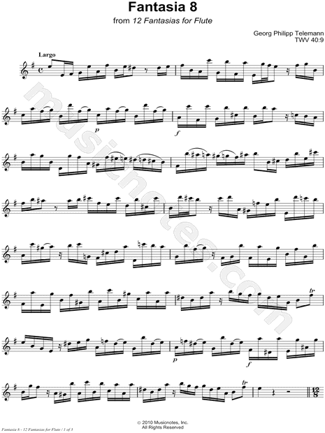 12 Fantasias for Flute: 8. Fantasia in E Minor