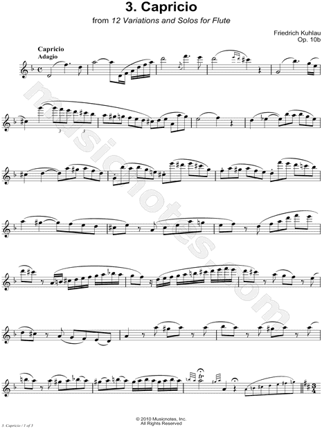 12 Variations & Solos for Flute, Op. 10b: 3. Capricio