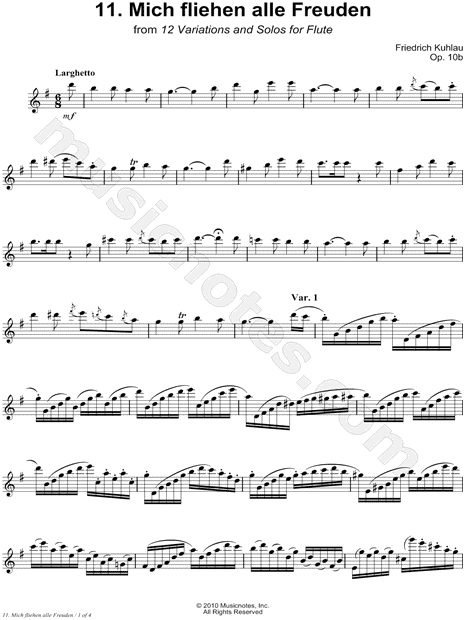 12 Variations & Solos for Flute, Op. 10b: 11. Mich fliehen alle Freuden