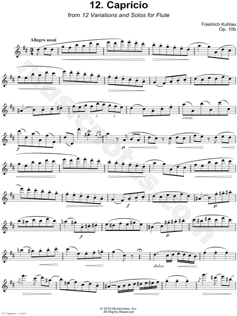 12 Variations & Solos for Flute, Op. 10b: 12. Capricio