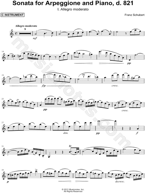 Sonata for Arpeggione and Piano, d. 821: I. Allegro Moderato - Solo Part