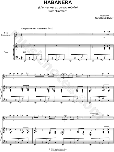 Habanera - Flute & Piano