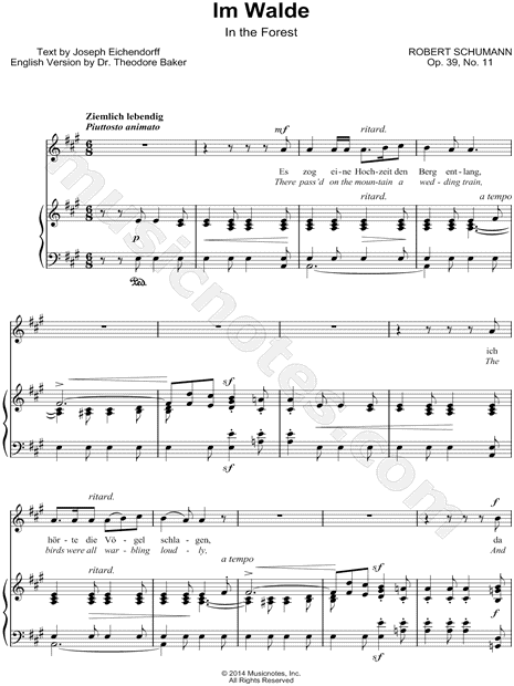 Liederkreis, Op. 39: XI. Im Walde