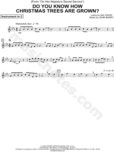 Do You Know How Christmas Trees Are Grown? - C Instrument