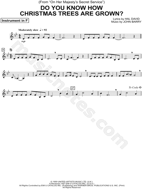 Do You Know How Christmas Trees Are Grown? - F Instrument