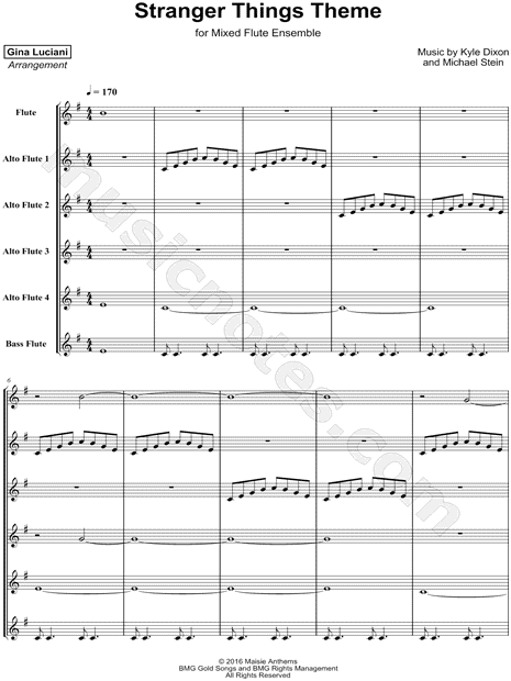 Stranger Things Theme - Mixed Flute Ensemble