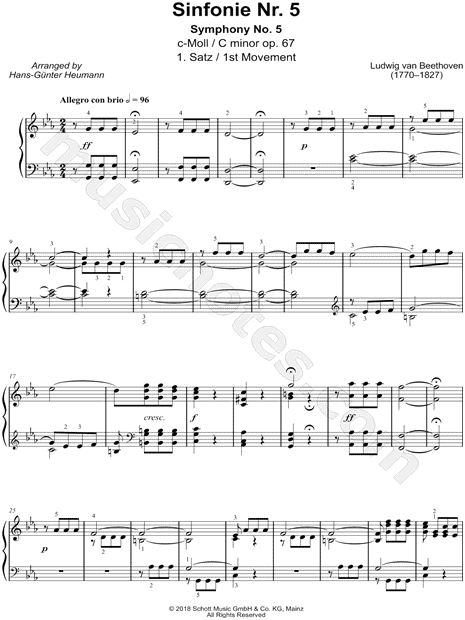 Symphony No. 5 in C Minor, Op. 67 - 1st Movement