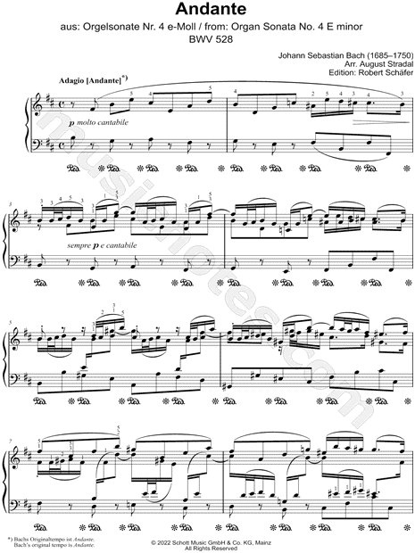 Organ Sonata No. 4, BWV 528: II. Andante