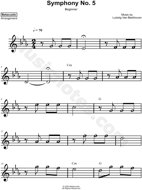 Symphony No. 5 in C Minor, Op. 67 - 1st Movement [beginner]